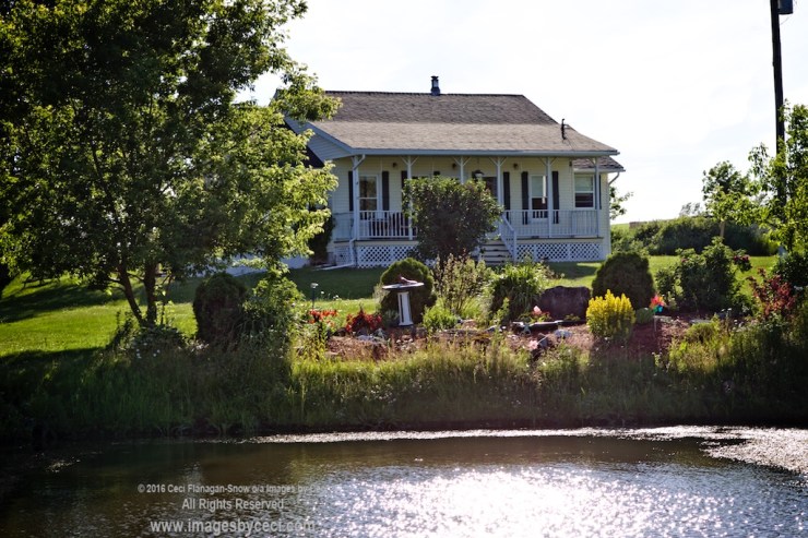 house in Smiths Creek