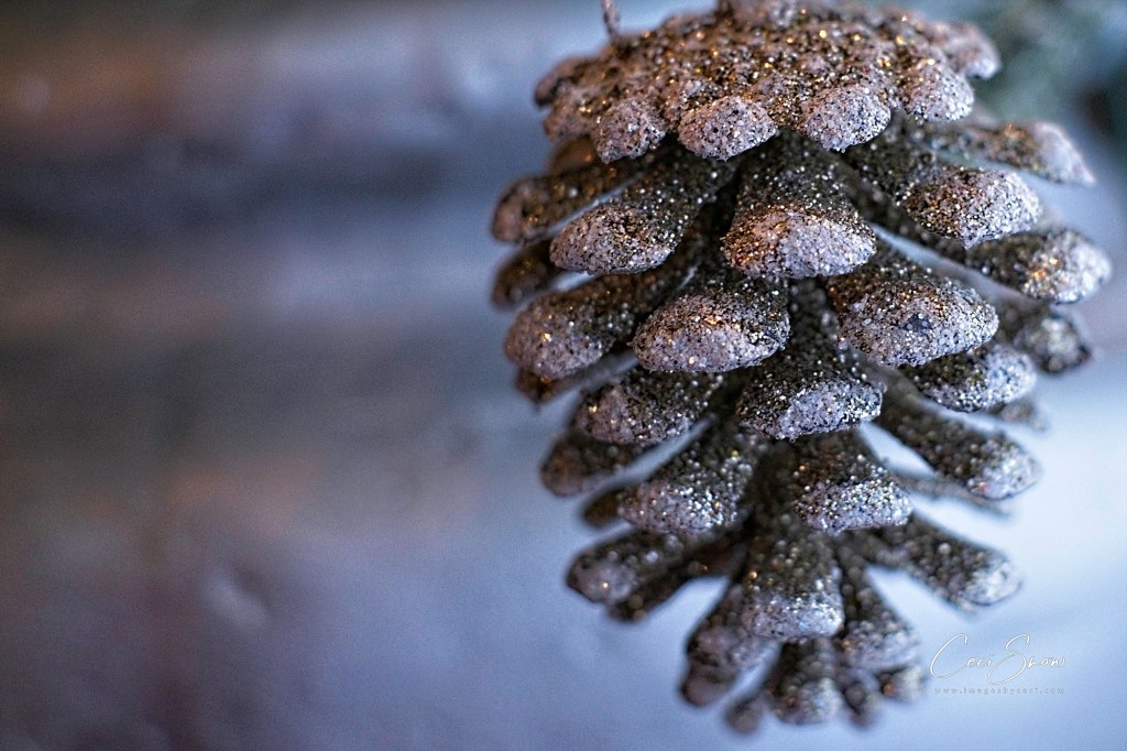 sparkly pine cone
