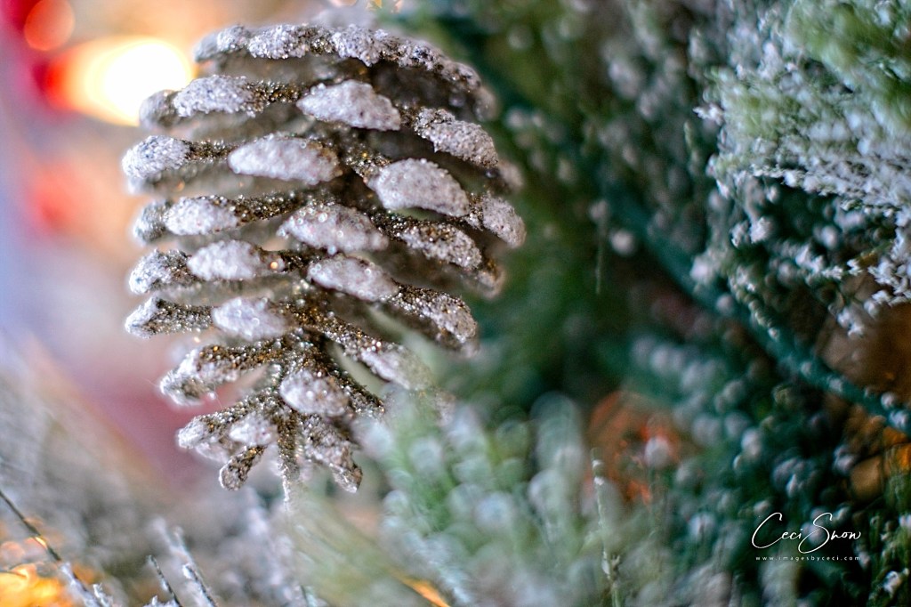 shiny pinecone on the tree