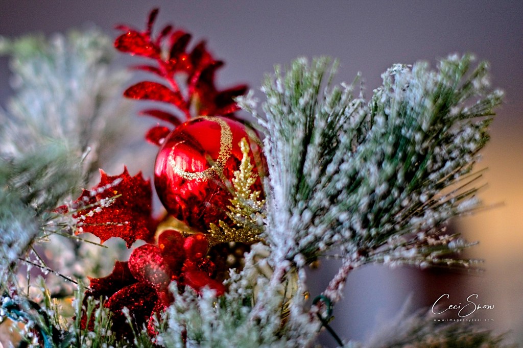 red Christmas ball on a tree