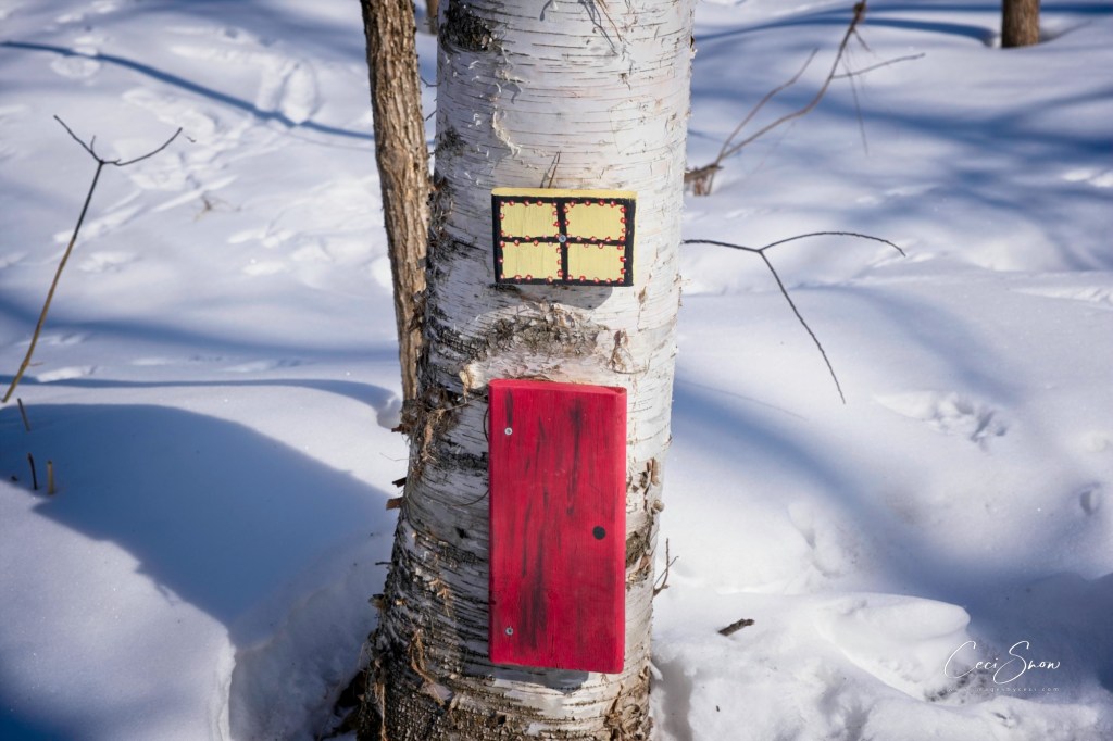 Red door and window on tree into a fairy world