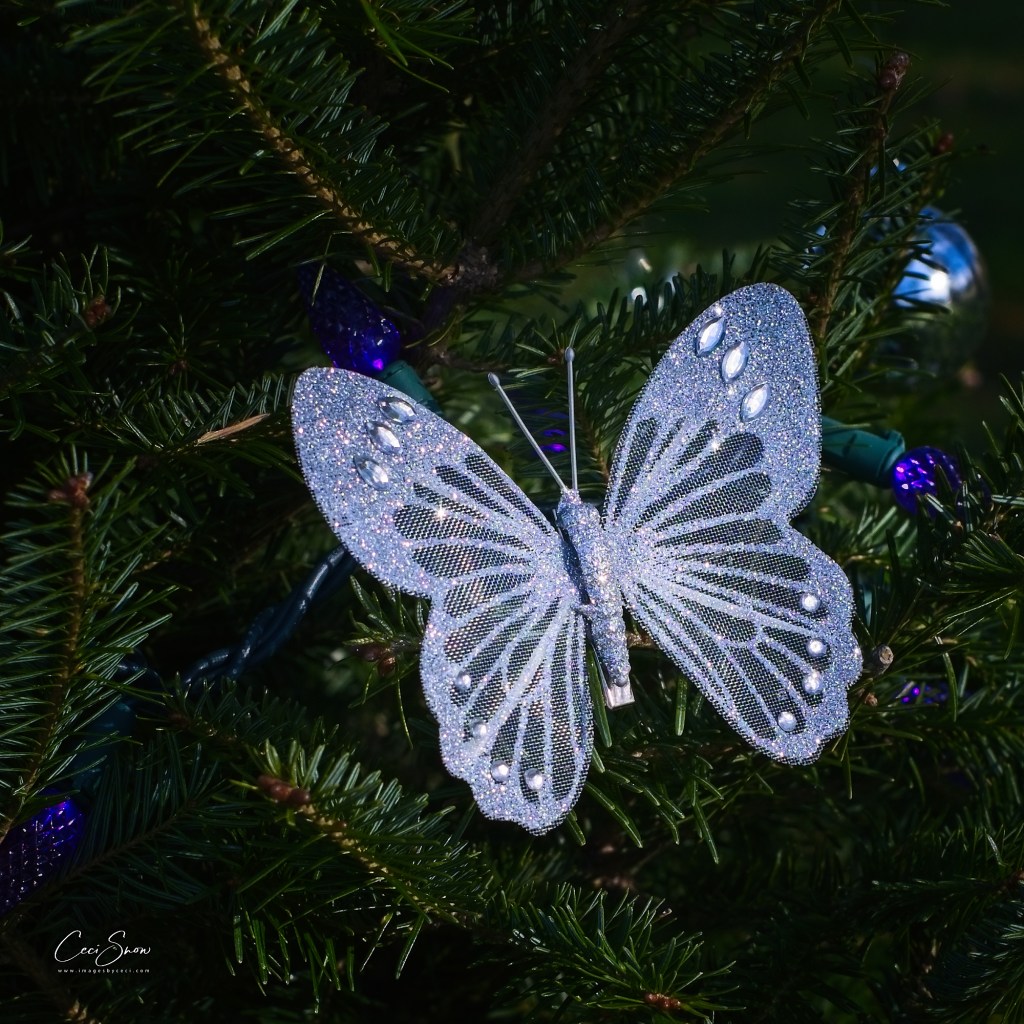 Butterfly ornament on Christmas tree - a symbol of Hope.